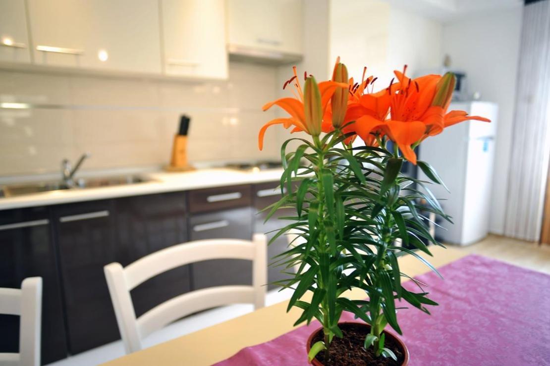 Apartmani Anita Medulin Extérieur photo